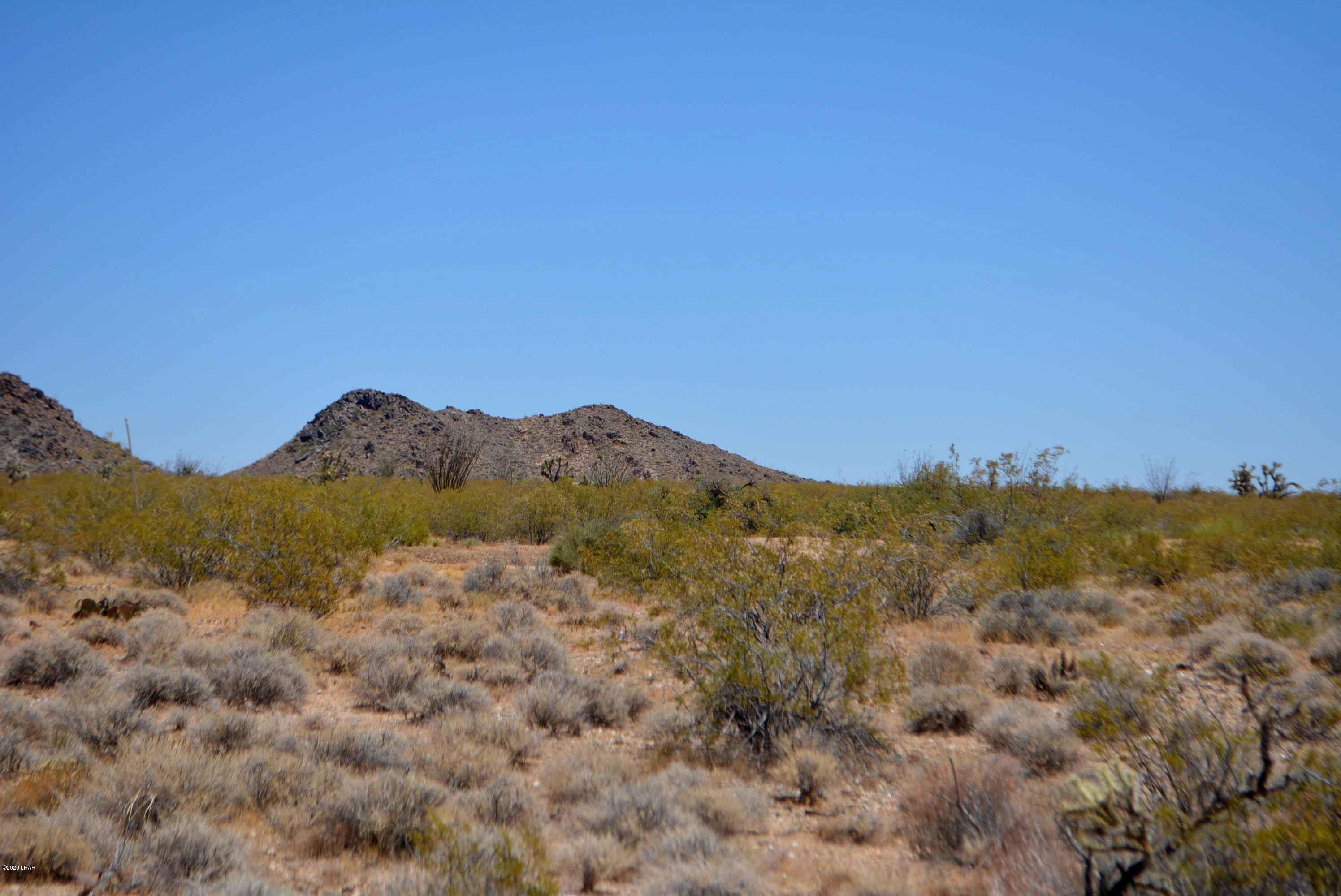 3421 South Butch Cassidy Road Yucca, AZ 86438 - Photo 35 of 35 DSC_0972