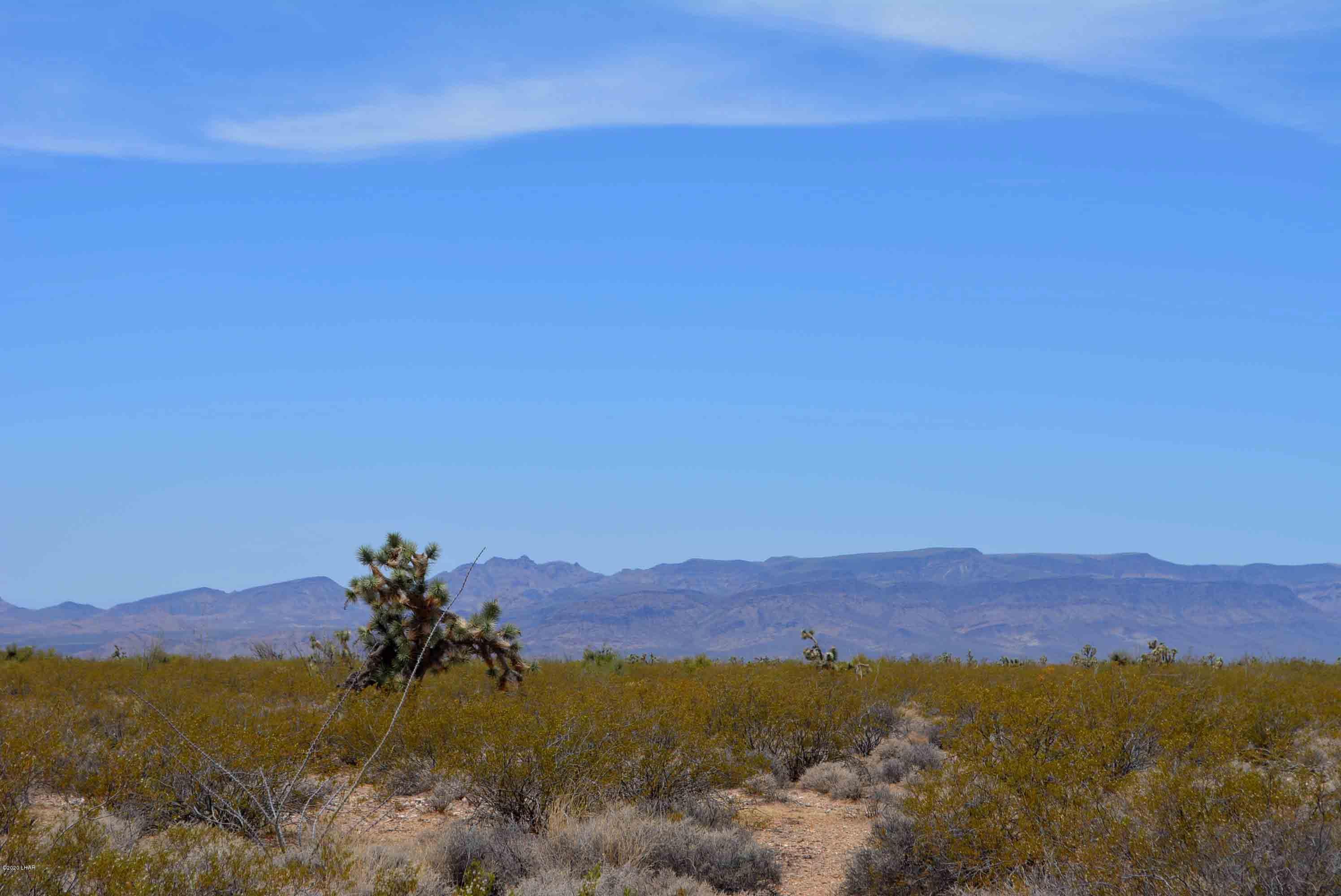 3421 South Butch Cassidy Road Yucca, AZ 86438 - Photo 6 of 35 34213