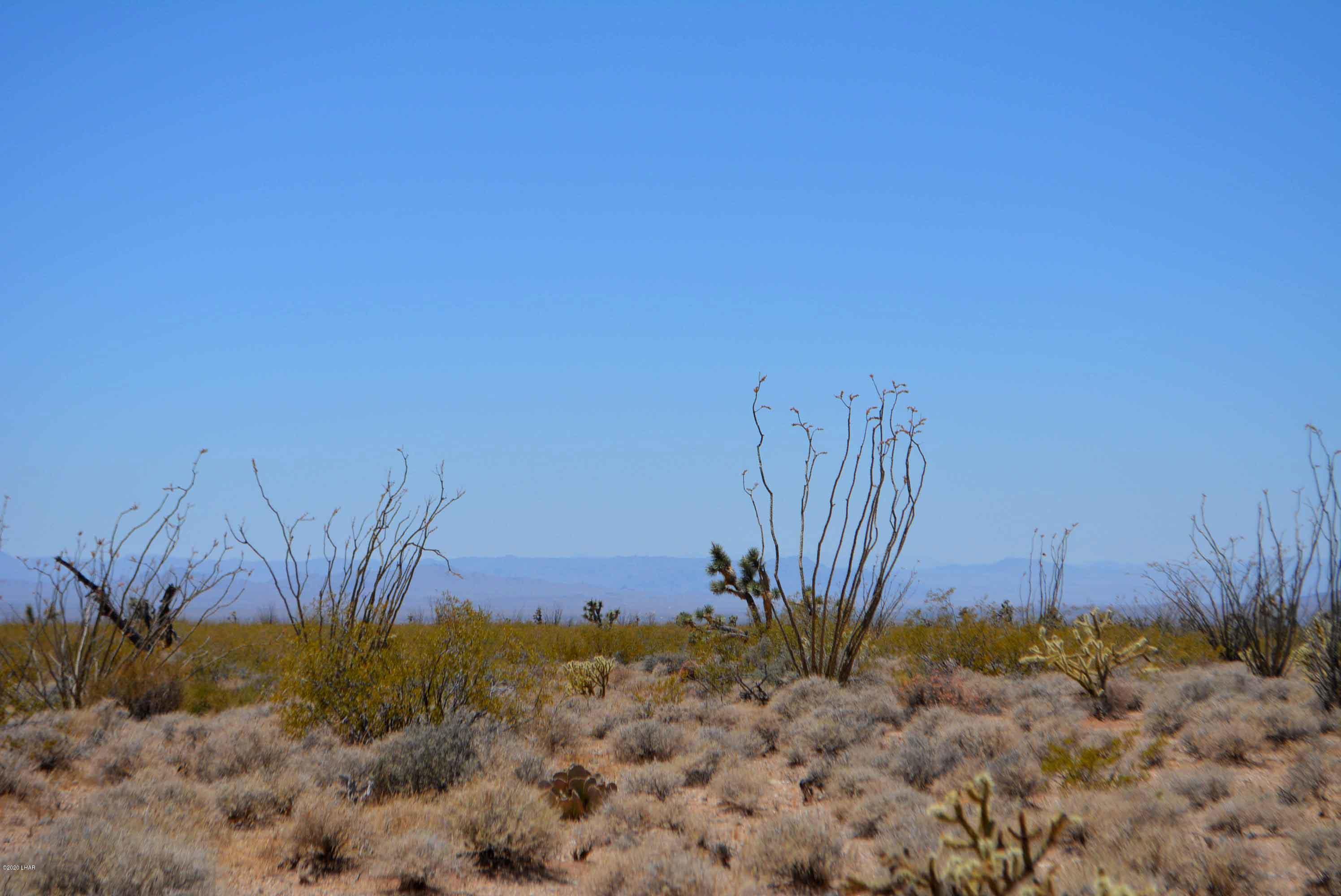 3421 South Butch Cassidy Road Yucca, AZ 86438 - Photo 10 of 35 DSC_0947