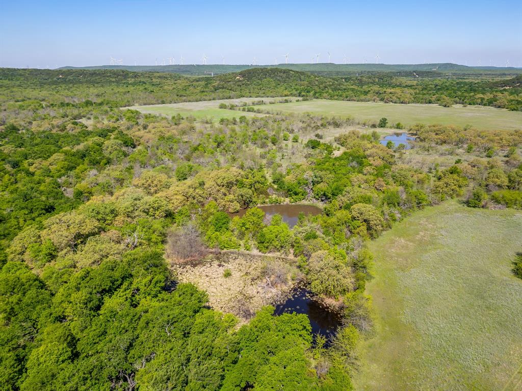 Tbd Teague Road Jacksboro, TX 76458 - Photo 18 of 33