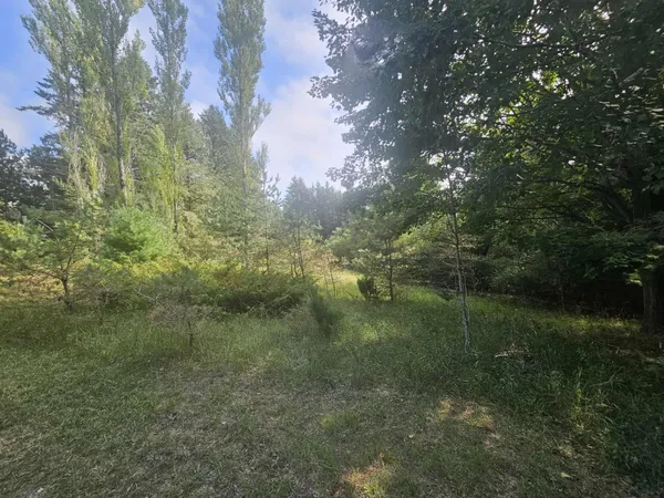 $330,000 | 928 Pilgrim Highway, Frankfort, MI 49635