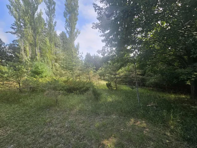 $330,000 | 928 Pilgrim Highway, Frankfort, MI 49635