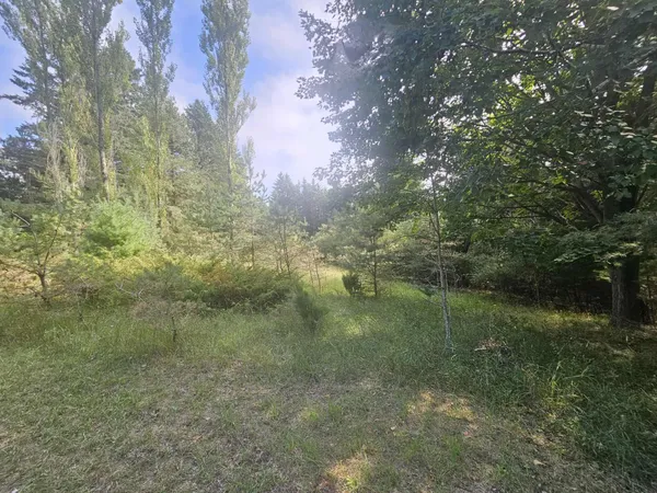 $330,000 | 928 Pilgrim Highway, Frankfort, MI 49635
