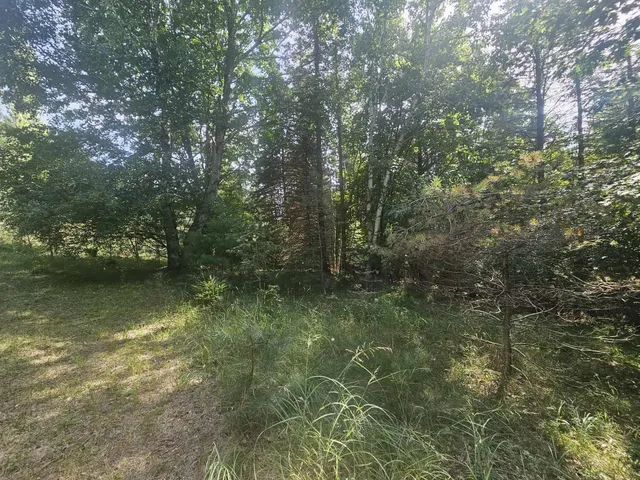 $330,000 | 928 Pilgrim Highway, Frankfort, MI 49635