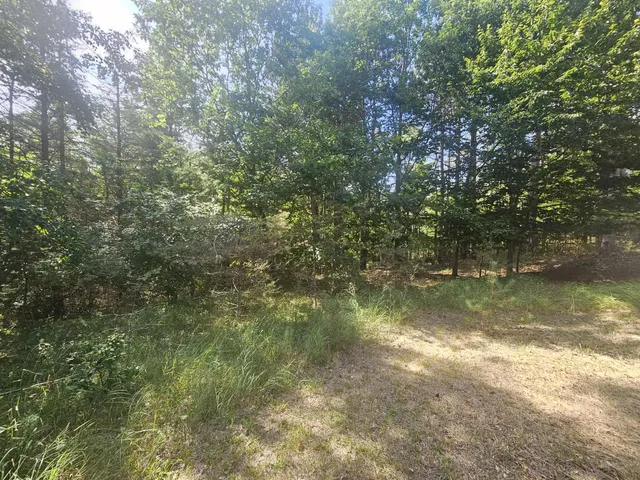 $330,000 | 928 Pilgrim Highway, Frankfort, MI 49635