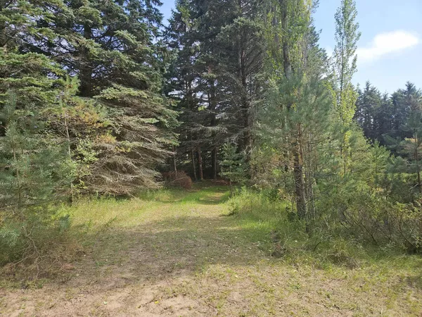 $330,000 | 928 Pilgrim Highway, Frankfort, MI 49635