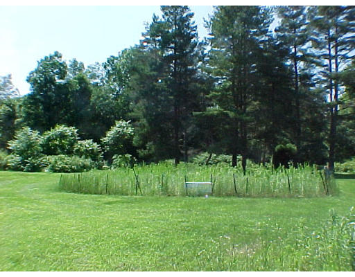 283 Ashfield Road Conway, MA 01341 - Photo 8 of 15