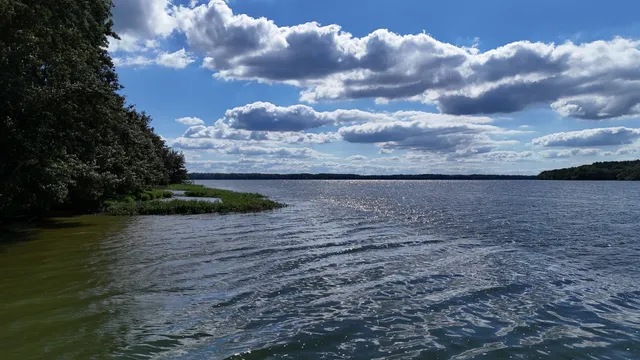 a view of a dry yard