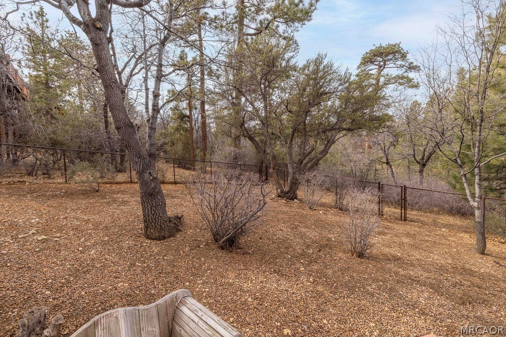 1629 Angels Camp Road Big Bear City, CA 92314 - Photo 35 of 40 a view of a yard with a tree