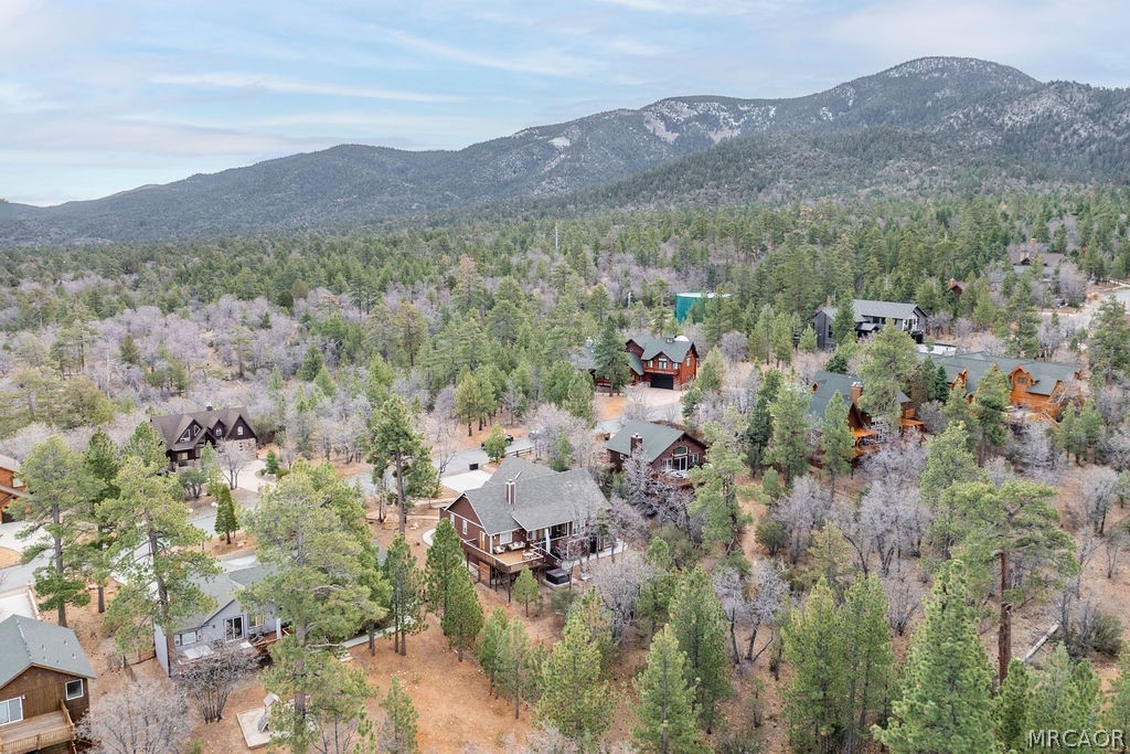1629 Angels Camp Road Big Bear City, CA 92314 - Photo 37 of 40