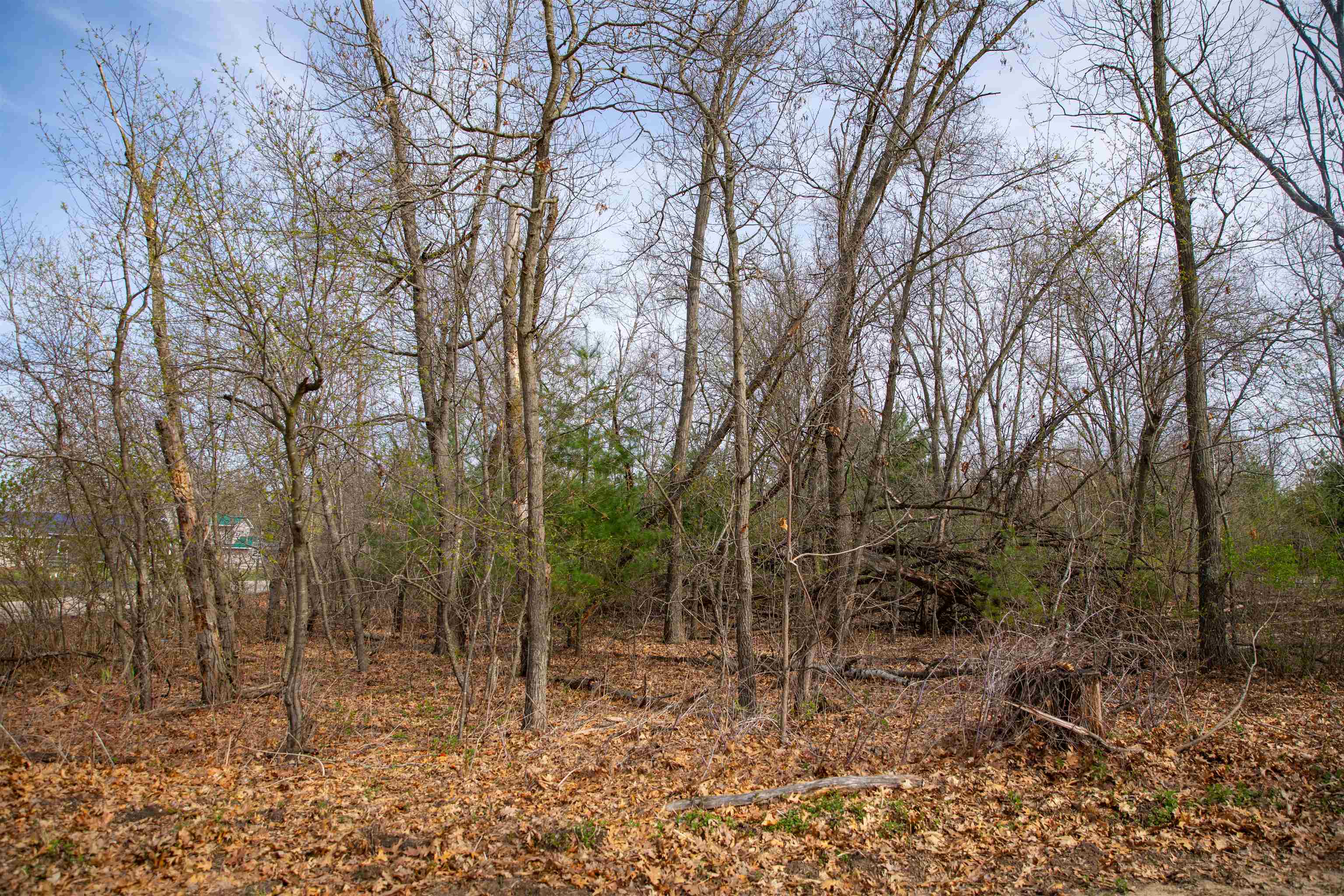 Lot 11 Lakeshore Montello, WI 53949 - Photo 3 of 11