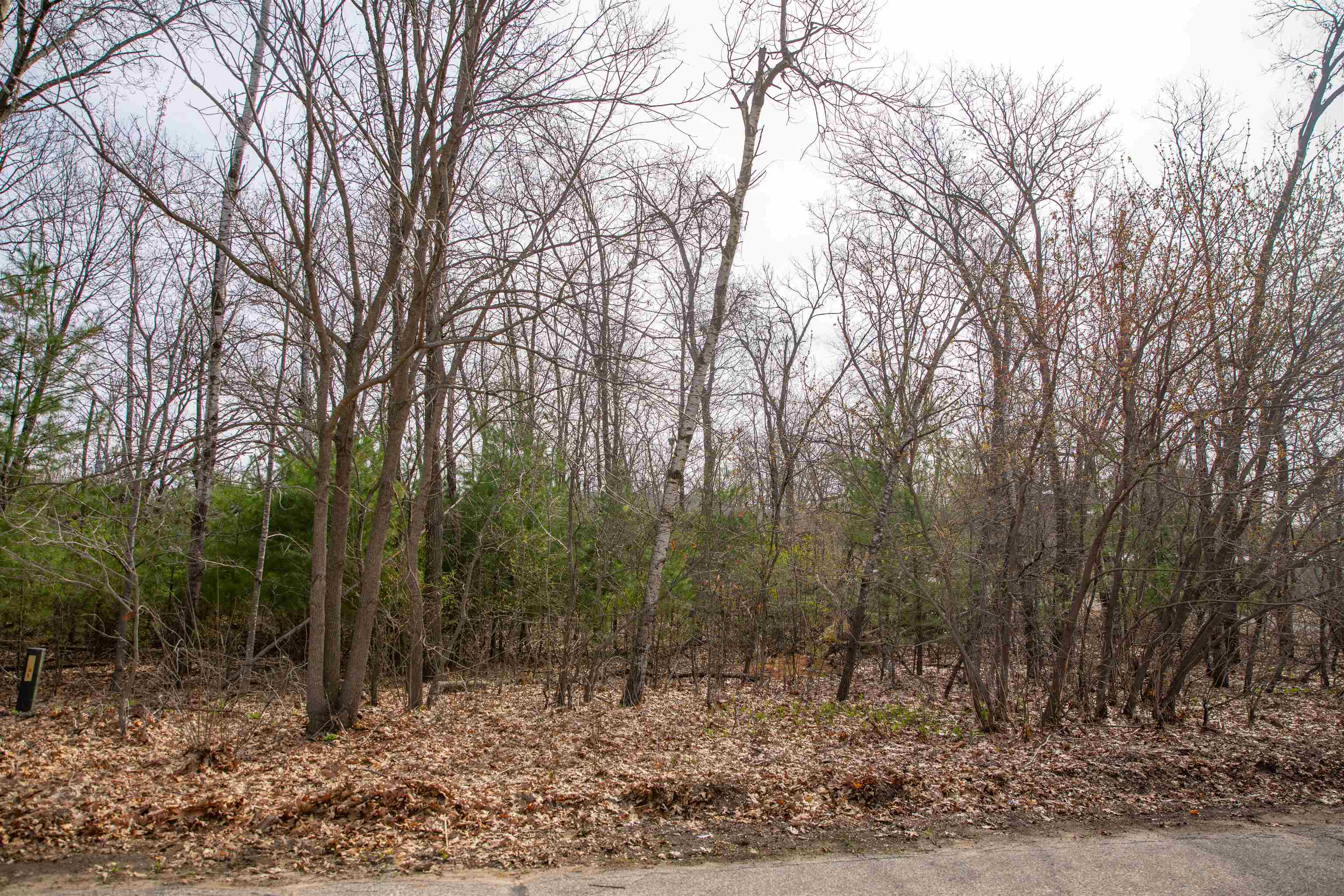 Lot 11 Lakeshore Montello, WI 53949 - Photo 5 of 11