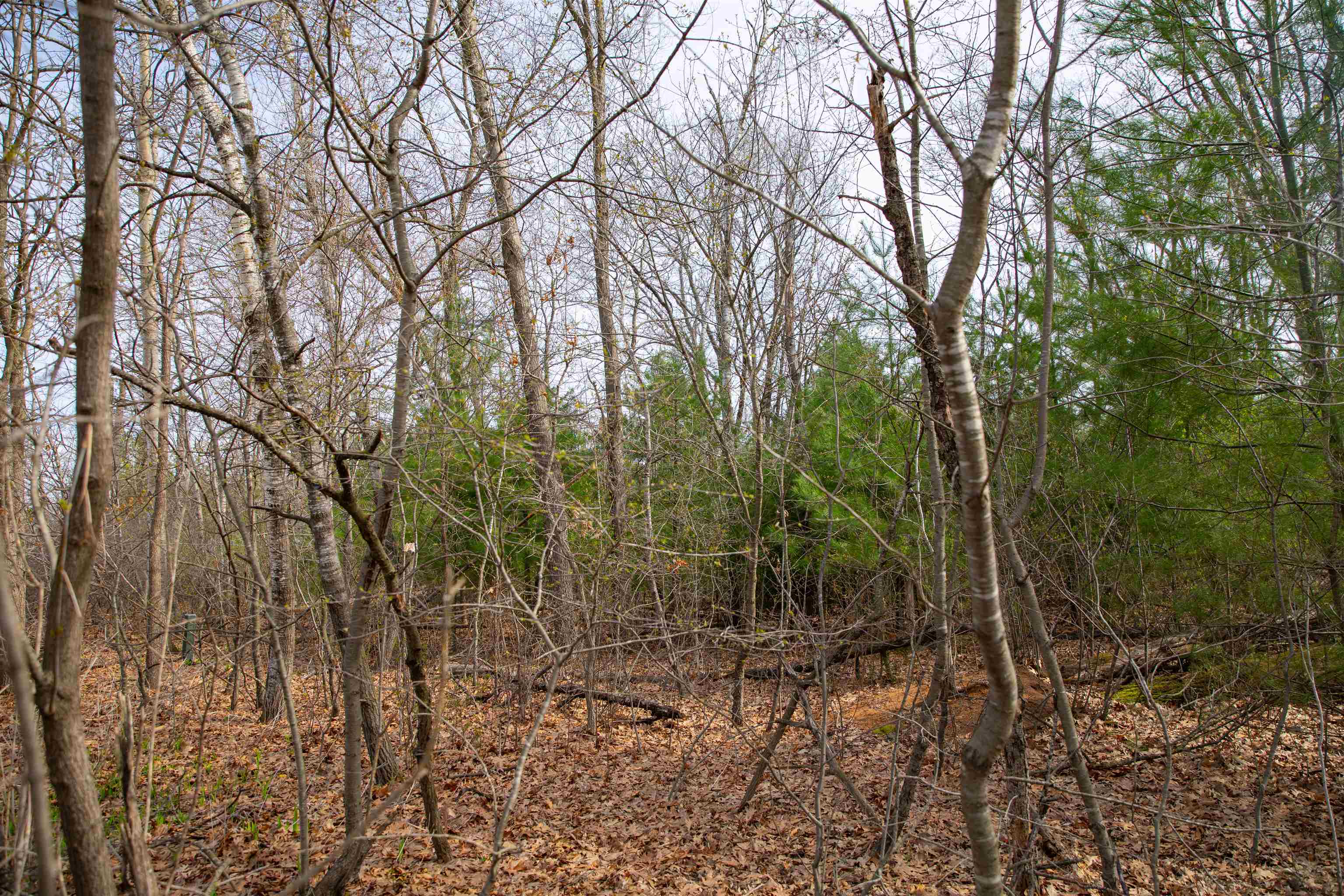 Lot 11 Lakeshore Montello, WI 53949 - Photo 7 of 11