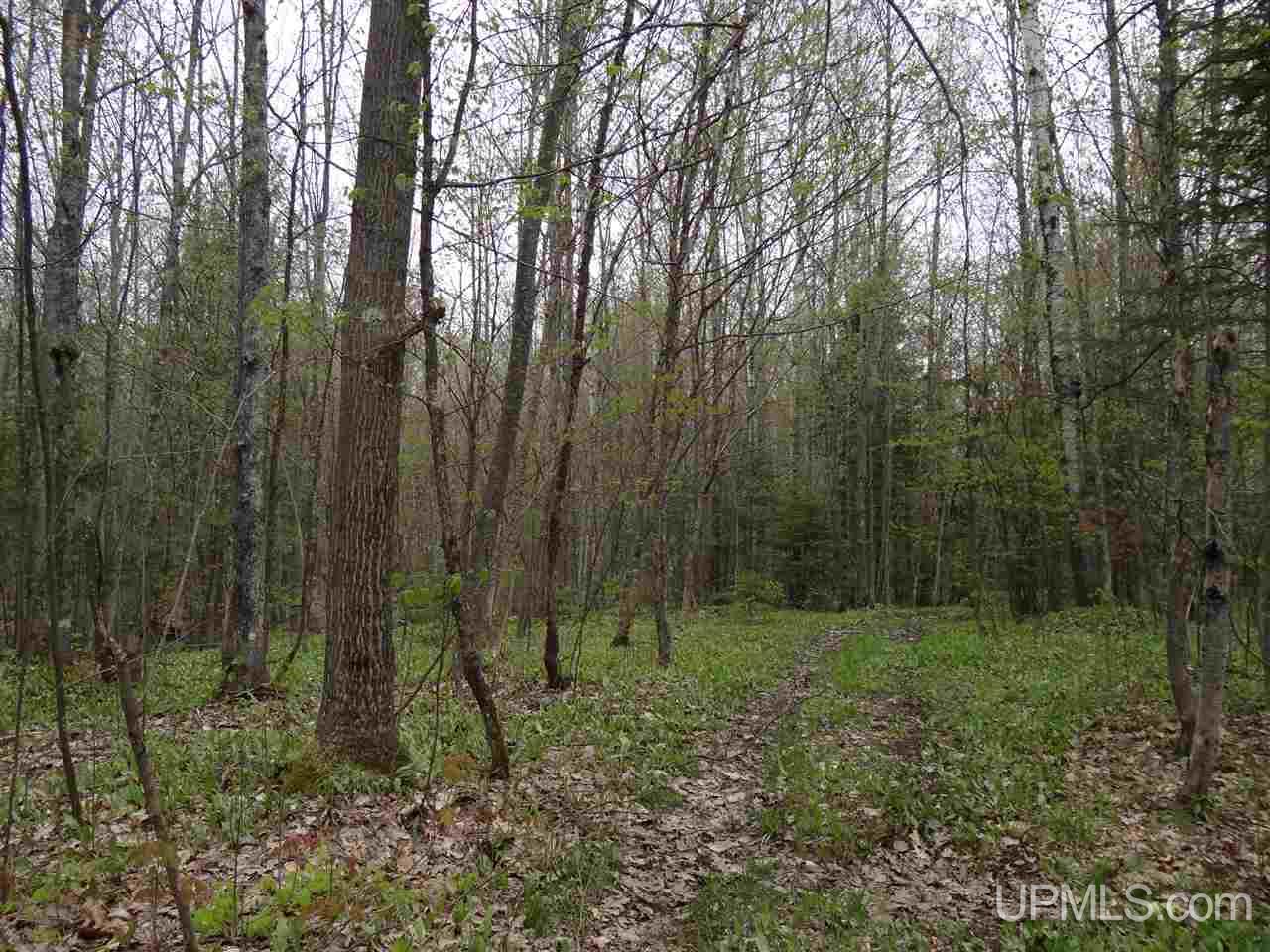 37296 Beck Road Ontonagon, MI 49953 - Photo 16 of 26 Gallery Image 16