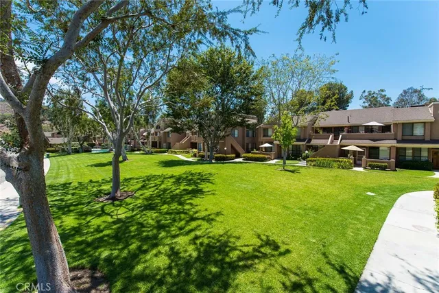 a view of a park with large trees