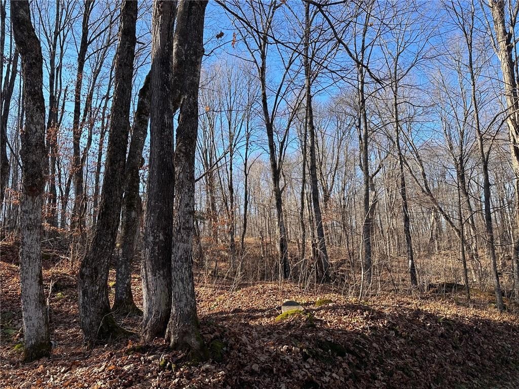 54-55 Wolf Island Road Hayward, WI 54843 - Photo 2 of 20