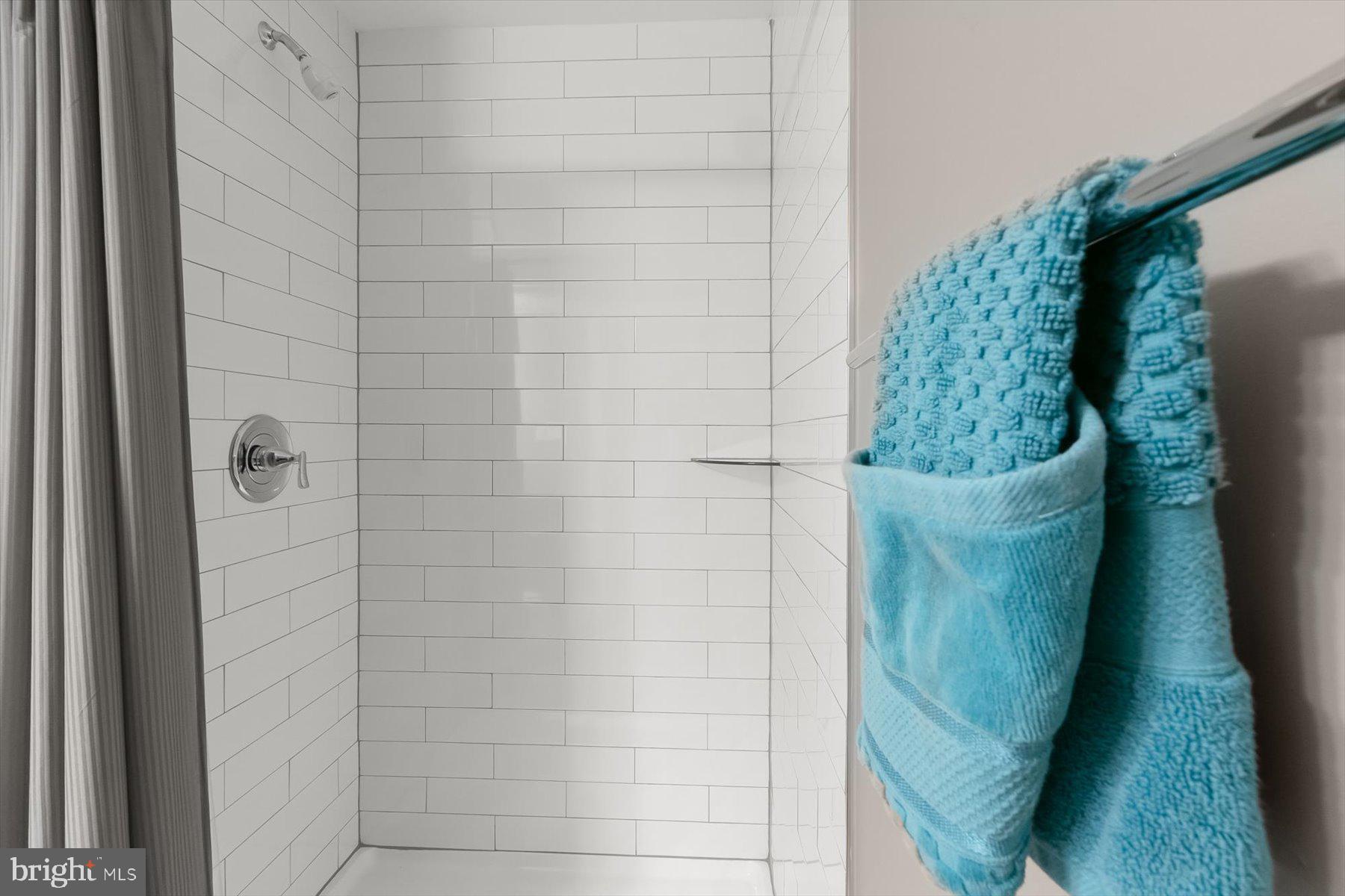 513 Gilmoure Drive Silver Spring, MD 20901 - Photo 49 of 60 Lower Level Walk-In Shower