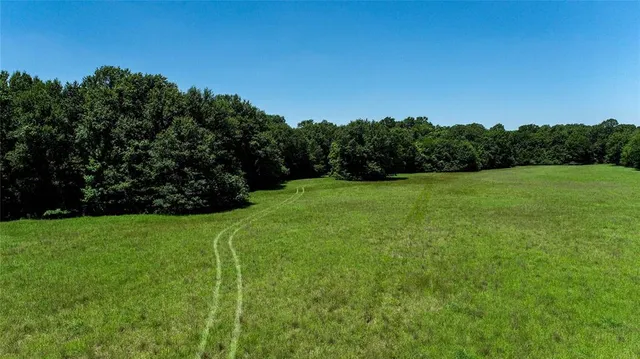 a view of a grassy field with trees in the background