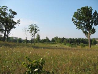 Lt1 Freistadt Road Germantown, WI 53022 - Photo 1 of 1