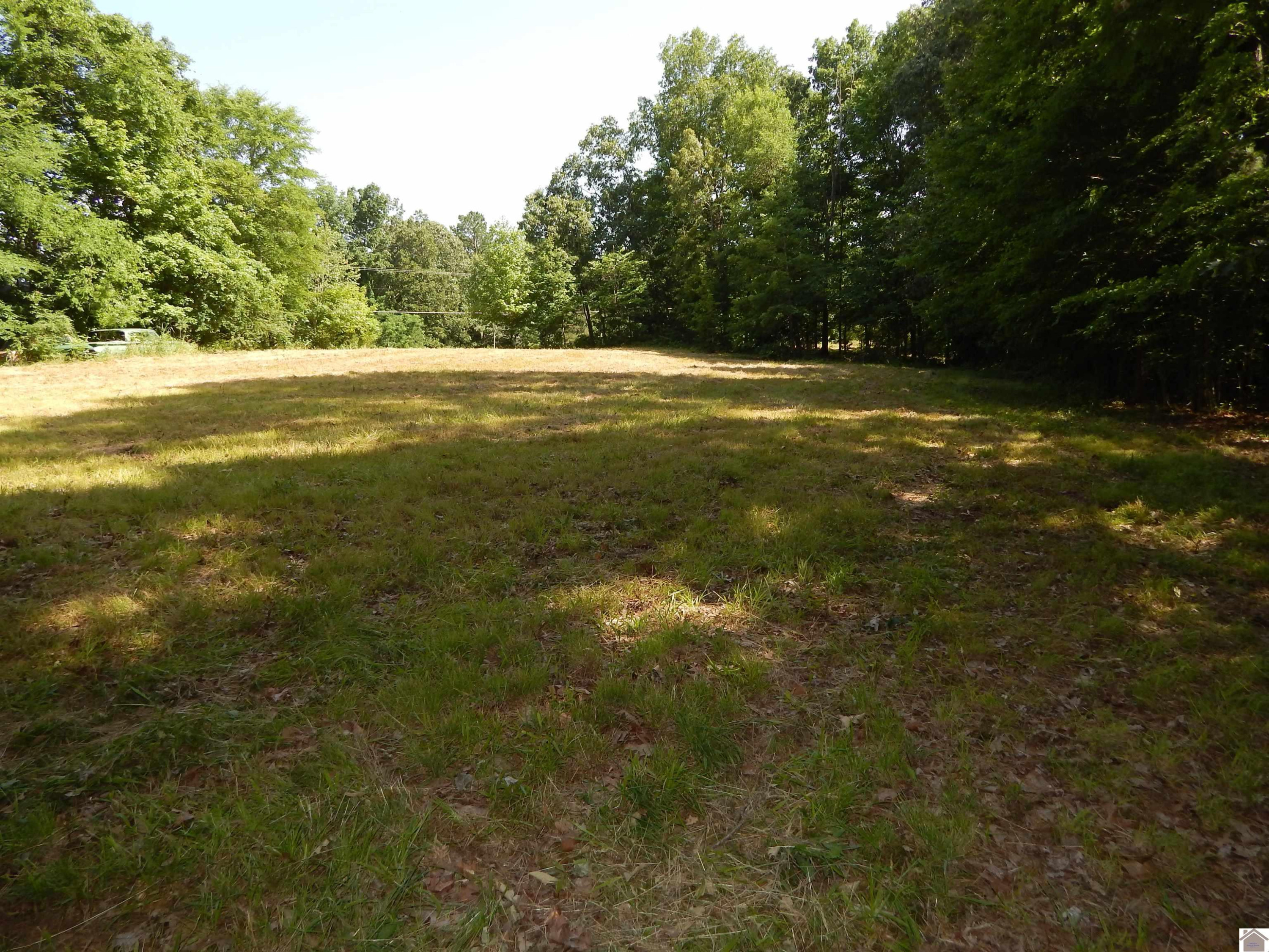 0 Beal Road Benton, KY 42025 - Photo 1 of 1 Photo 1