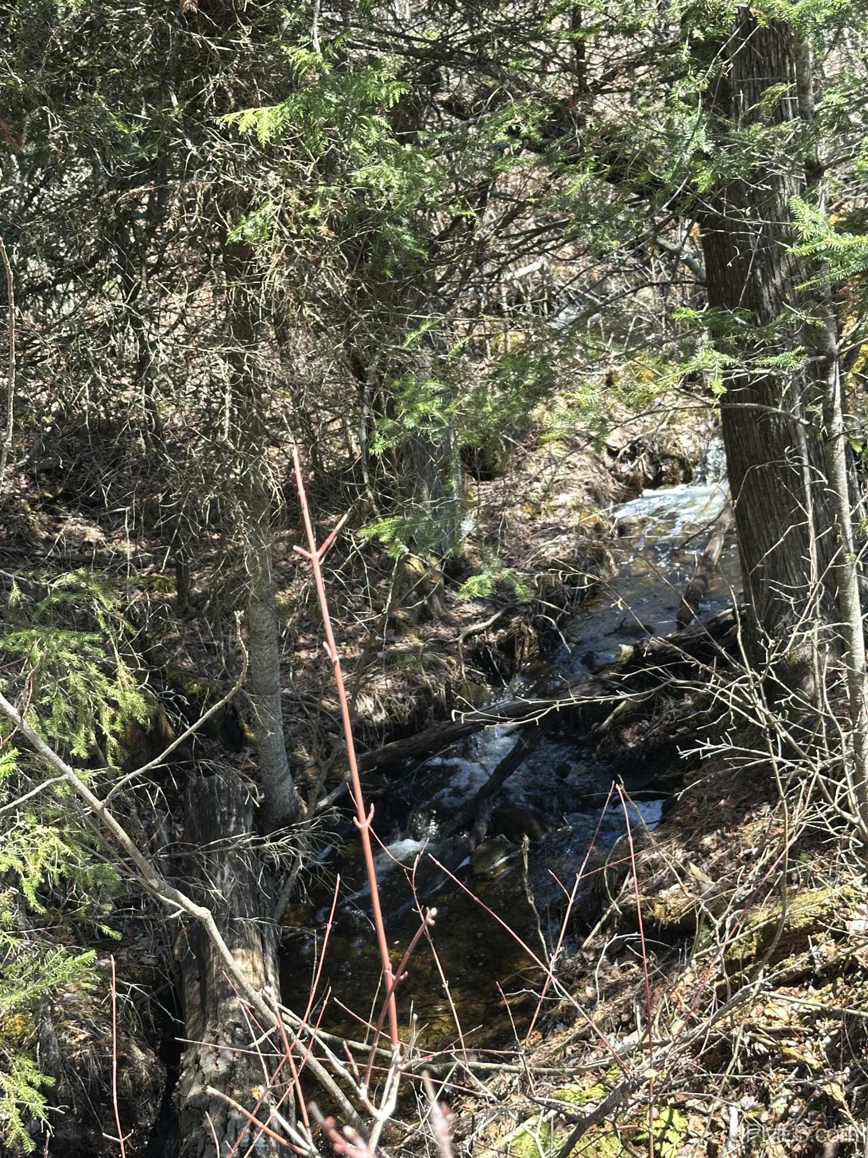 69 Old 69 Road Crystal Falls, MI 49920 - Photo 9 of 21