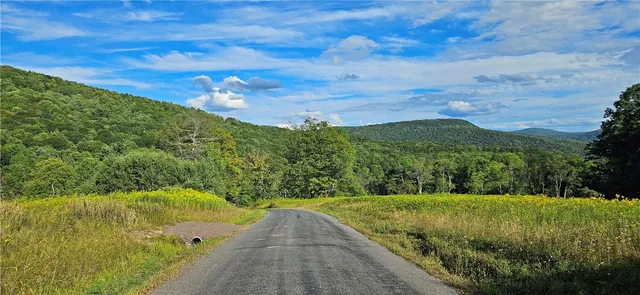 $399,000 | 0 Shaver Hollow Road, Andes, NY 13731