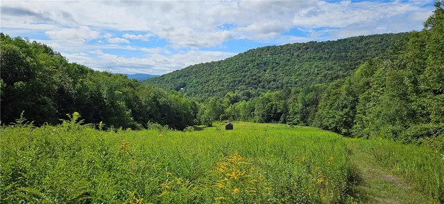 $399,000 | 0 Shaver Hollow Road, Andes, NY 13731