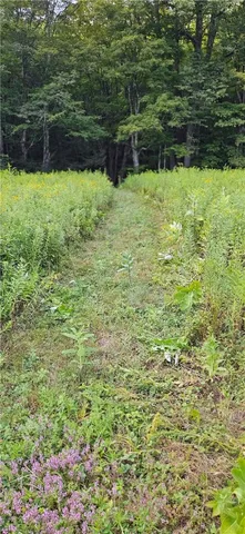 $399,000 | 0 Shaver Hollow Road, Andes, NY 13731