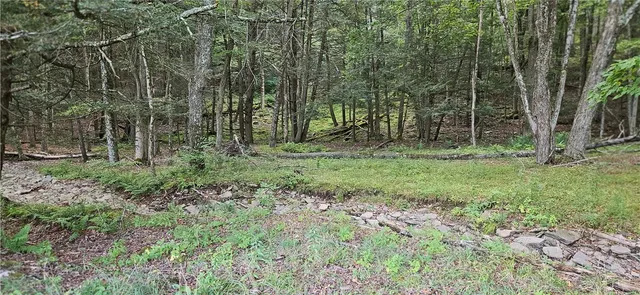 $399,000 | 0 Shaver Hollow Road, Andes, NY 13731
