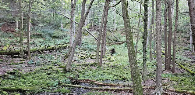 $399,000 | 0 Shaver Hollow Road, Andes, NY 13731