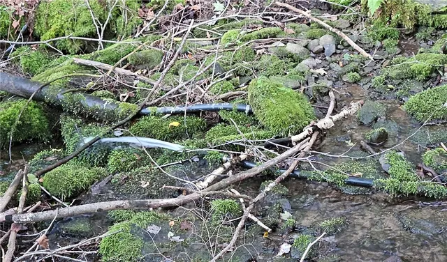 $399,000 | 0 Shaver Hollow Road, Andes, NY 13731