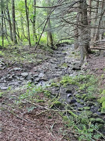 $399,000 | 0 Shaver Hollow Road, Andes, NY 13731