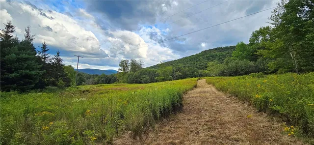 $399,000 | 0 Shaver Hollow Road, Andes, NY 13731