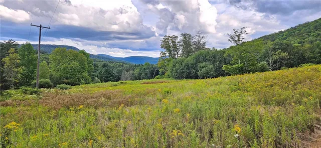 $399,000 | 0 Shaver Hollow Road, Andes, NY 13731