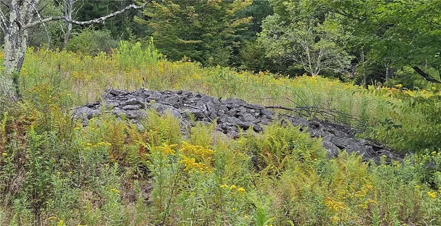 $399,000 | 0 Shaver Hollow Road, Andes, NY 13731