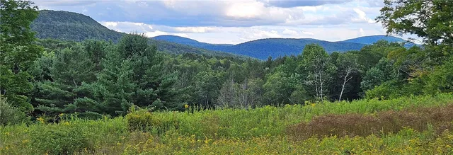 $399,000 | 0 Shaver Hollow Road, Andes, NY 13731