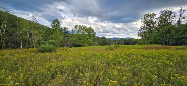 $399,000 | 0 Shaver Hollow Road, Andes, NY 13731