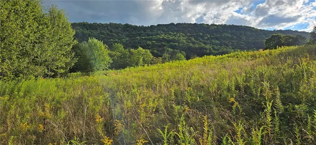 $399,000 | 0 Shaver Hollow Road, Andes, NY 13731