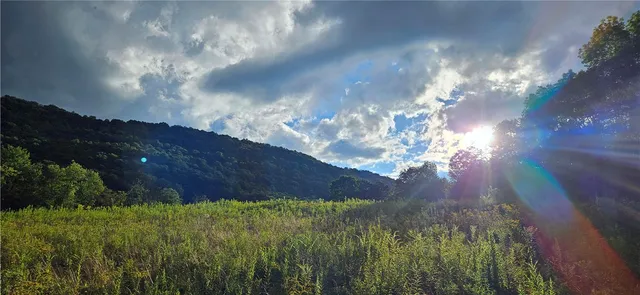 $399,000 | 0 Shaver Hollow Road, Andes, NY 13731