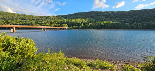 $399,000 | 0 Shaver Hollow Road, Andes, NY 13731