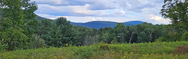 $399,000 | 0 Shaver Hollow Road, Andes, NY 13731