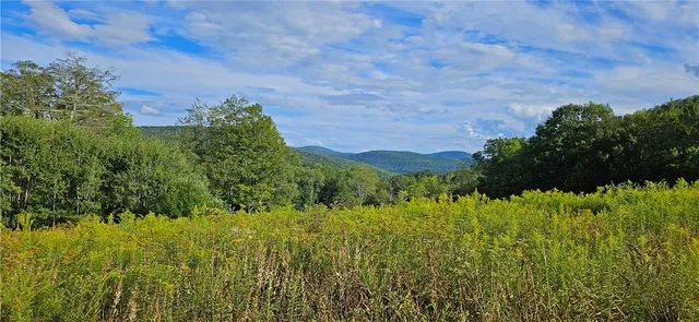 $399,000 | 0 Shaver Hollow Road, Andes, NY 13731