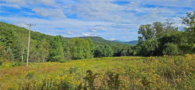 $399,000 | 0 Shaver Hollow Road, Andes, NY 13731