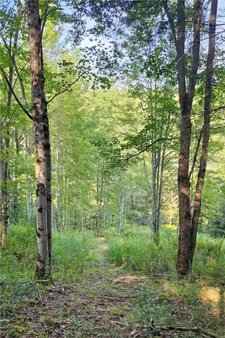 $399,000 | 0 Shaver Hollow Road, Andes, NY 13731