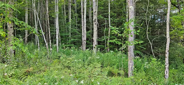 $399,000 | 0 Shaver Hollow Road, Andes, NY 13731