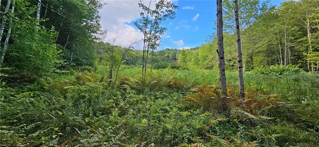 $399,000 | 0 Shaver Hollow Road, Andes, NY 13731