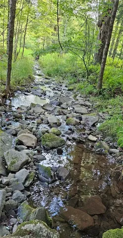 $399,000 | 0 Shaver Hollow Road, Andes, NY 13731