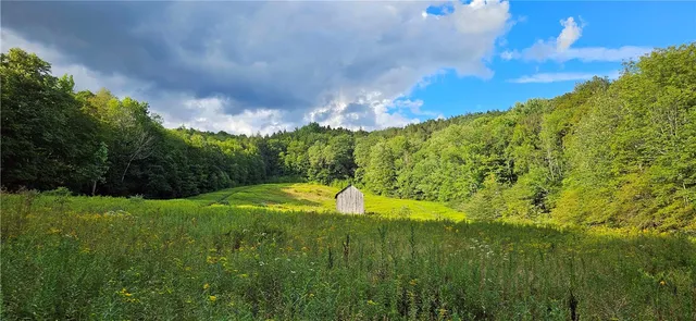 $399,000 | 0 Shaver Hollow Road, Andes, NY 13731