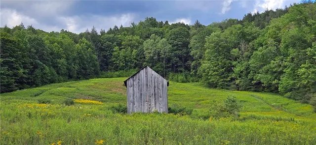 $399,000 | 0 Shaver Hollow Road, Andes, NY 13731