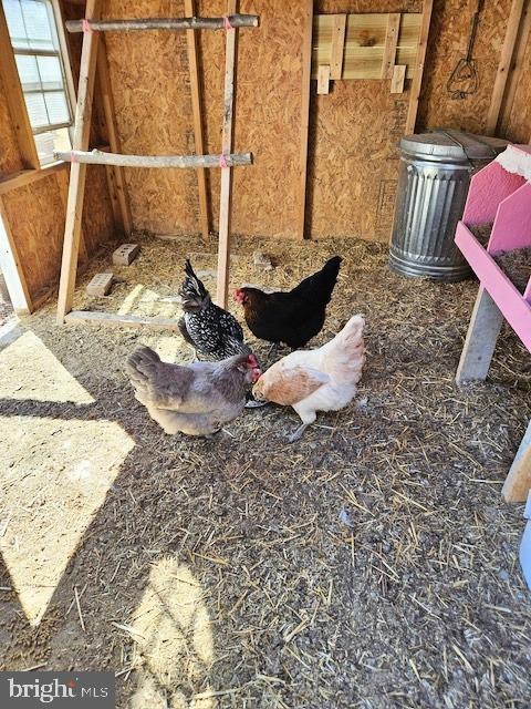 7612 Leeds Manor Road Marshall, VA 20115 - Photo 38 of 46 Buy Yourself Some Chickens!!